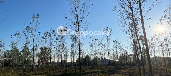 Terreno en Magenta, Italy 138000 m² No. 166194 20