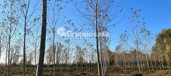 Terreno en Magenta, Italy 138000 m² No. 166194 17