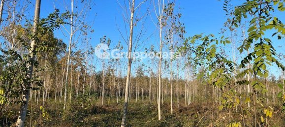 Terreno en Magenta, Italy 138000 m² No. 166194 18