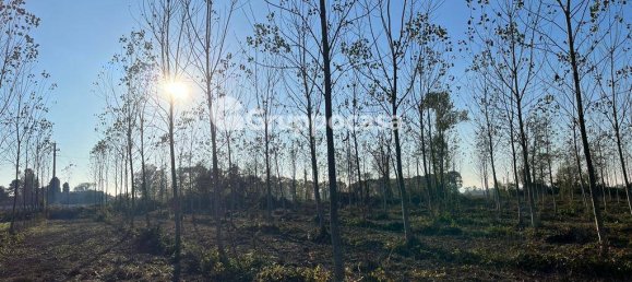 Terreno en Magenta, Italy 138000 m² No. 166194 16