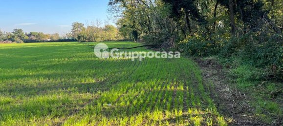 Terreno en Magenta, Italy 138000 m² No. 166194 6