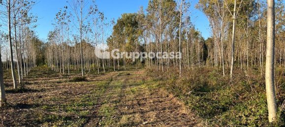 Terreno en Magenta, Italy 138000 m² No. 166194 15