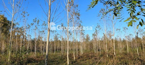 Terreno en Magenta, Italy 138000 m² No. 166194 14