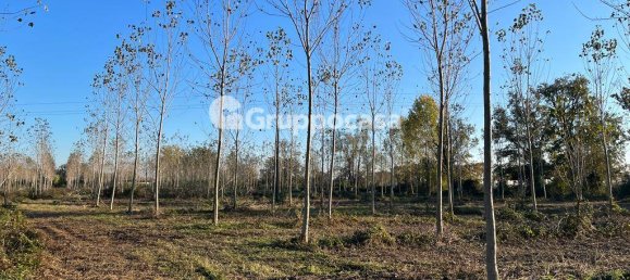 Terreno en Magenta, Italy 138000 m² No. 166194 12