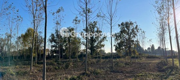 Terreno en Magenta, Italy 138000 m² No. 166194 13