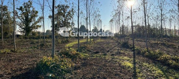 Terreno en Magenta, Italy 138000 m² No. 166194 19