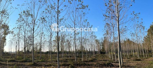 Terreno en Magenta, Italy 138000 m² No. 166194 11