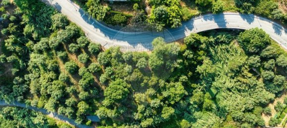  Land in Constancia, Portugal No. 193983 7