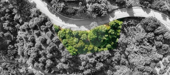  Land in Constancia, Portugal No. 193983 8