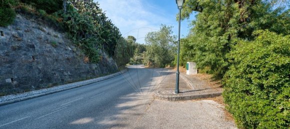  Land in Constancia, Portugal No. 193983 18