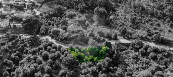  Land in Constancia, Portugal No. 193983 6