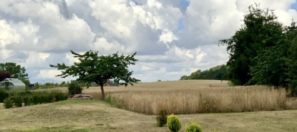 Дом с 5 комнатами в Мекленбургское Поозёрье, Германия № 233733 5