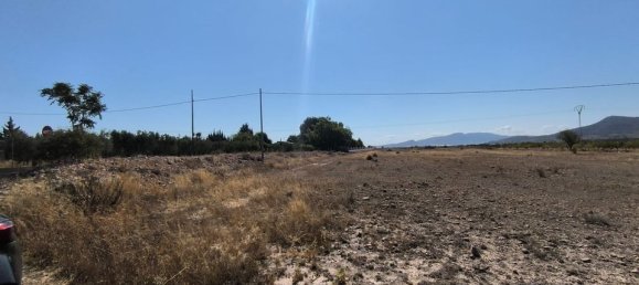  Land in Pinoso, Spain No. 189104 4