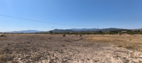  Land in Pinoso, Spain No. 189104 5