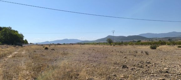 Land in Pinoso, Spain No. 189104 2