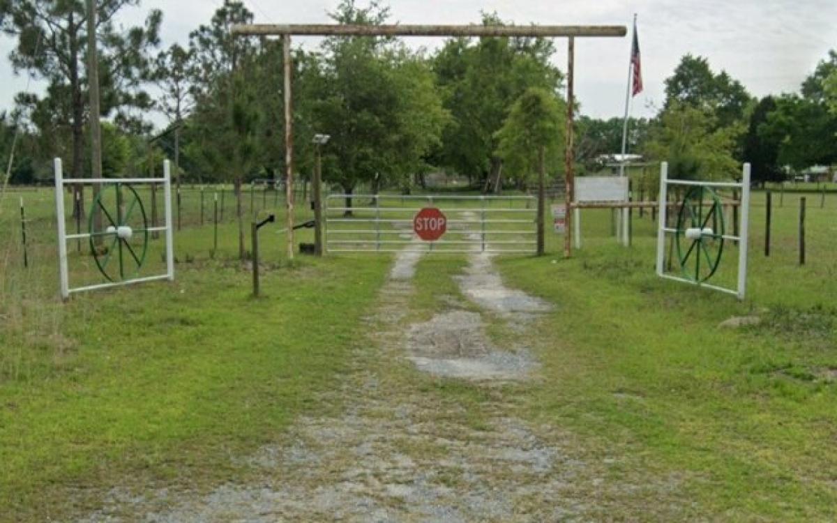 Studio in Live Oak, USA, Nr. 437683