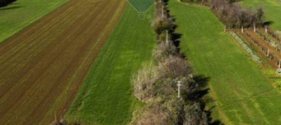 24000m² Land in Monte San Vito, Italy No. 11049 6