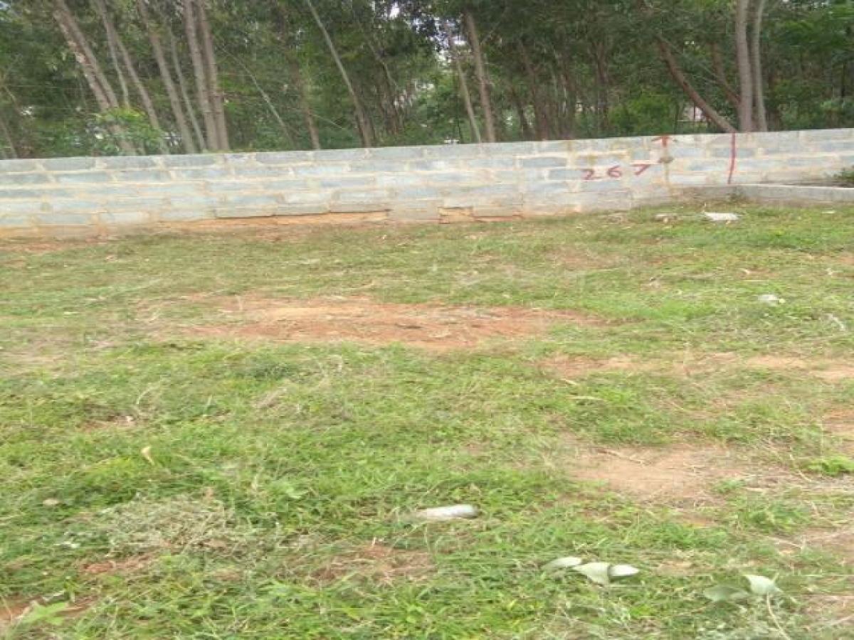  قطعة أرض في Bangalore, India رقم 30959