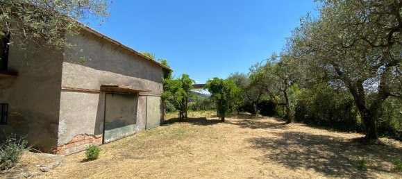 7غرفة فيلا في Amelia, Italy رقم 67104 13