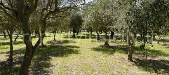 9 rooms Villa in Syracuse, Italy No. 246993 3