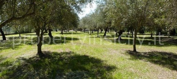 9 rooms Villa in Syracuse, Italy No. 246993 27