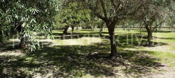 9 rooms Villa in Syracuse, Italy No. 246993 6