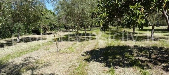 9 rooms Villa in Syracuse, Italy No. 246993 11