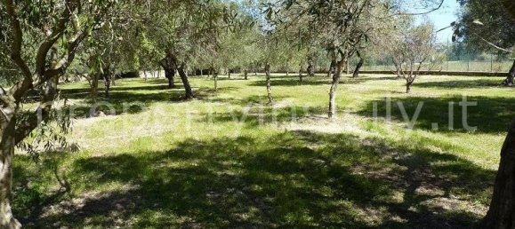 9 rooms Villa in Syracuse, Italy No. 246993 8