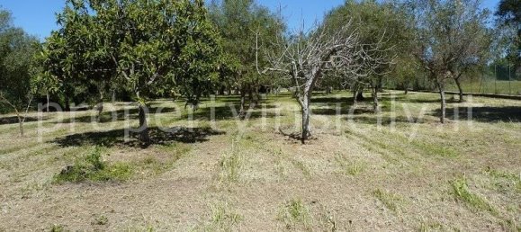 9 rooms Villa in Syracuse, Italy No. 246993 12