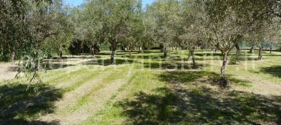 9 rooms Villa in Syracuse, Italy No. 246993 10