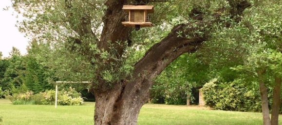 20 rooms Villa in Roncade, Italy No. 229522 38