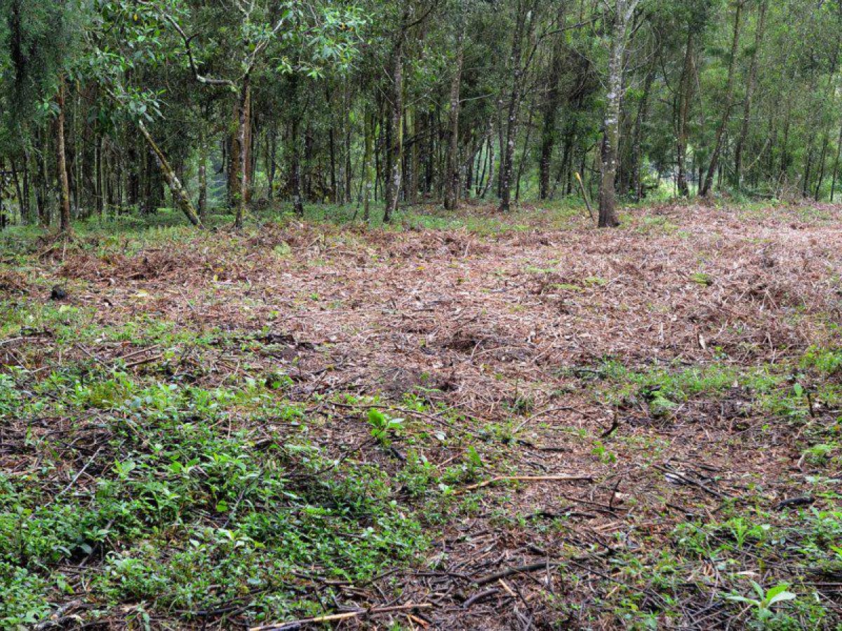Grundstück in Antioquia, Colombia, Nr. 229