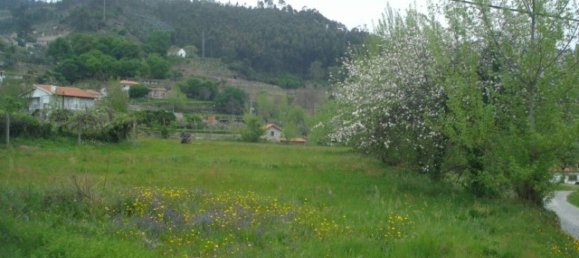  Land in Marco de Canaveses, Portugal No. 57750 2