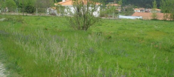  Land in Marco de Canaveses, Portugal No. 57750 4