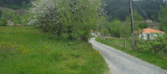  Land in Marco de Canaveses, Portugal No. 57750 6