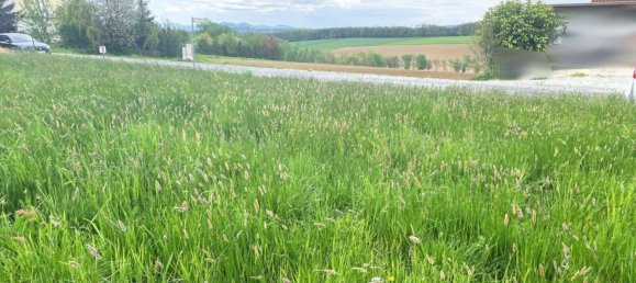 Terreno em Oberwart, Austria N.º 36789 5