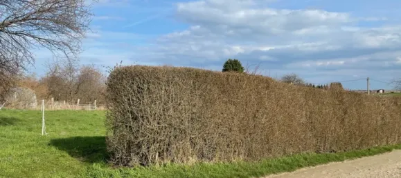 Terrain à Leipzig, Germany No. 188473 3