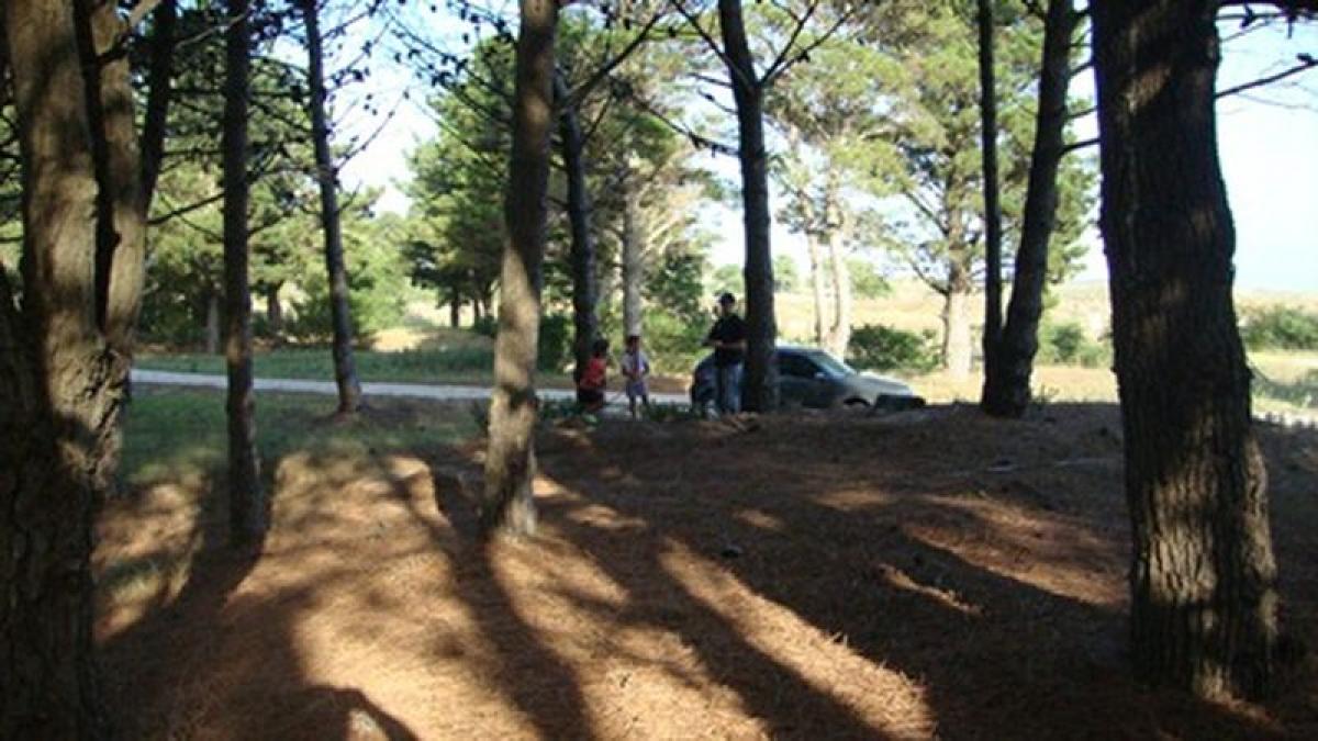  Land in Mar del Plata, Argentina No. 113364