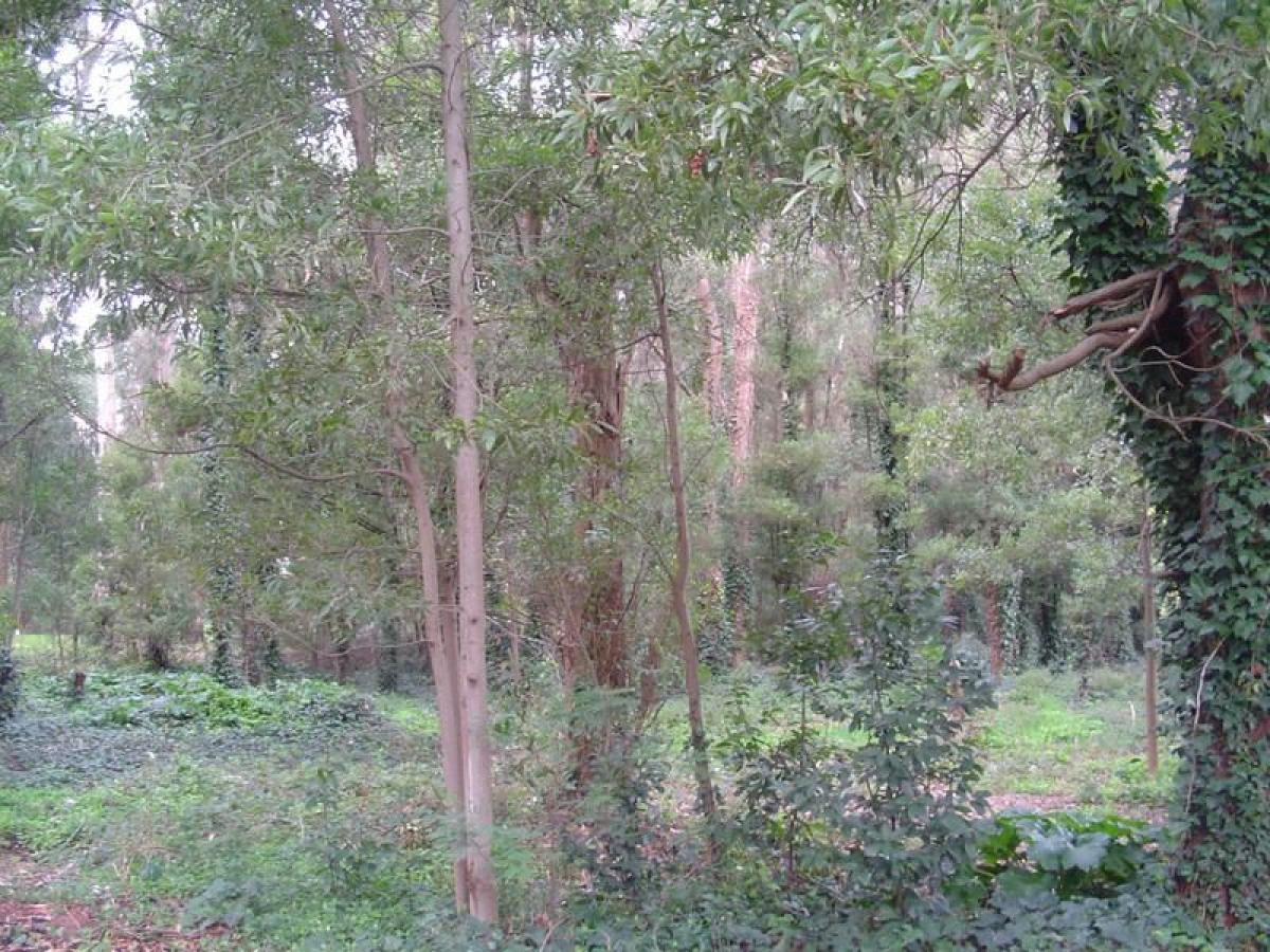  Land in Mar del Plata, Argentina No. 121424