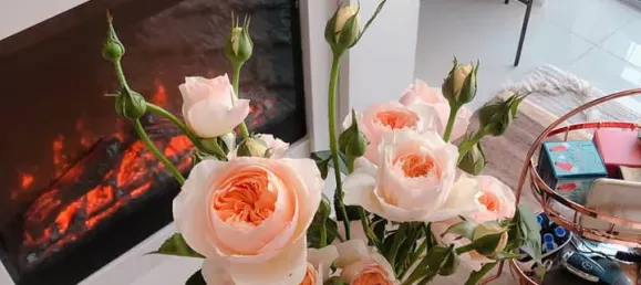 3 bedrooms Apartment in Thu Duc, Vietnam No. 8359 5