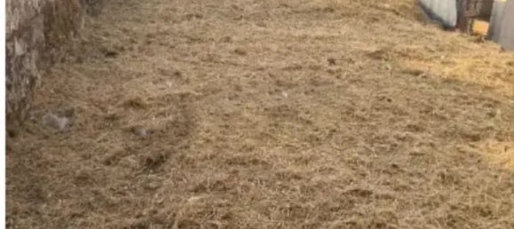 6-Zimmer Villa in Trecastagni, Italy, Nr. 82422 8