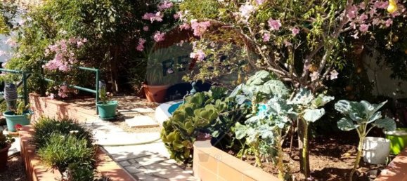 Дом с 3 спальнями в Алваладе, Португалия № 16858 12