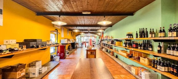 670m² Warehouse in Sant'Angelo Lodigiano, Italy No. 8069 10