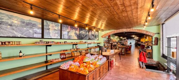 670m² Warehouse in Sant'Angelo Lodigiano, Italy No. 8069 13