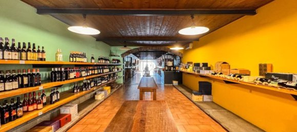 670m² Warehouse in Sant'Angelo Lodigiano, Italy No. 8069 4