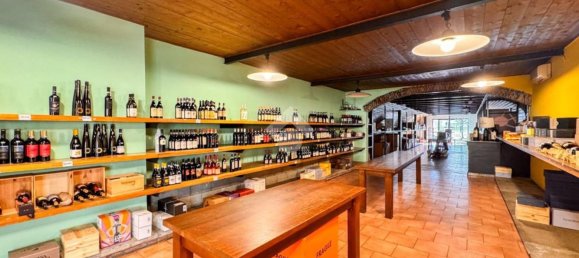 670m² Warehouse in Sant'Angelo Lodigiano, Italy No. 8069 5