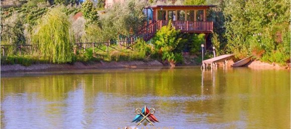 20 bedrooms Villa in Certaldo, Italy No. 102382 8