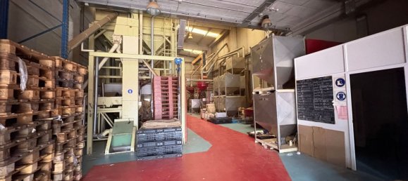  مستودع في Cervello, Spain 1126متر مربع رقم 166117 8