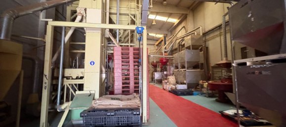  مستودع في Cervello, Spain 1126متر مربع رقم 166117 12