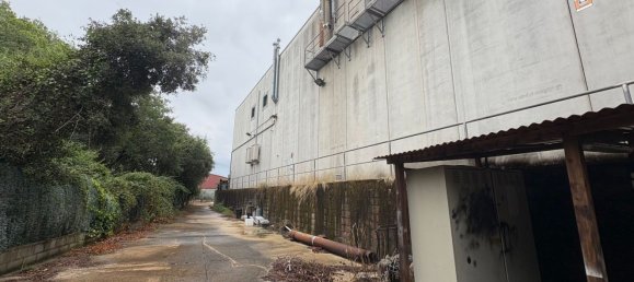  مستودع في Cervello, Spain 1126متر مربع رقم 166117 26